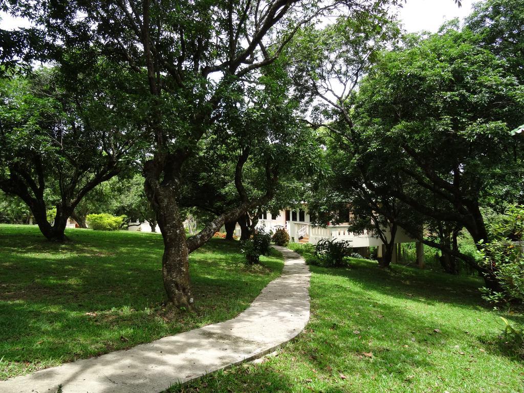 Chang Garden Resort Mae Chan Luaran gambar