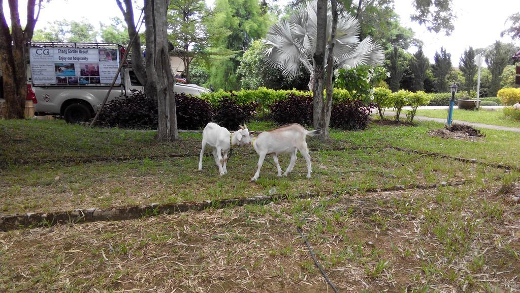 Chang Garden Resort Mae Chan Luaran gambar